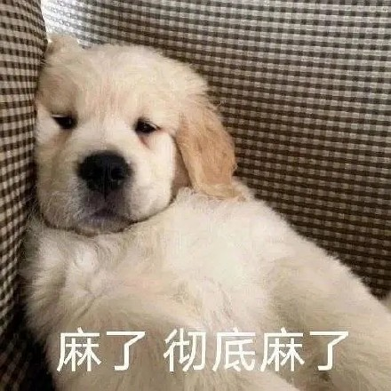 留學(xué)生10大最難學(xué)專業(yè)，金融竟然是最后一名？