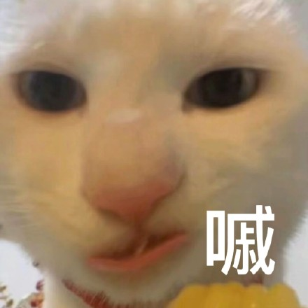 留學(xué)生10大最難學(xué)專業(yè)，金融竟然是最后一名？